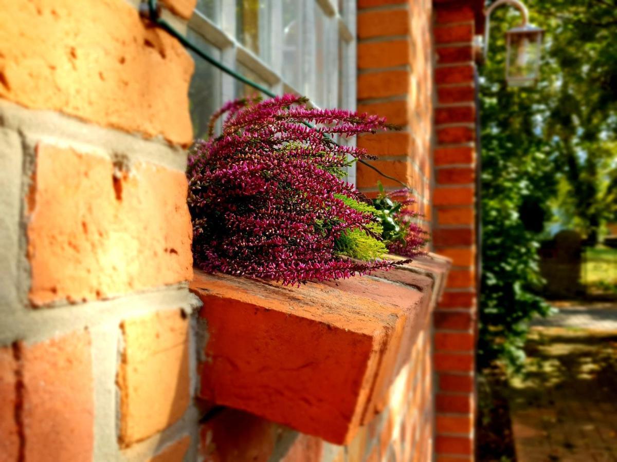 Bed and Breakfast Hochzeitsschmiede Gross Dratow Exterior foto